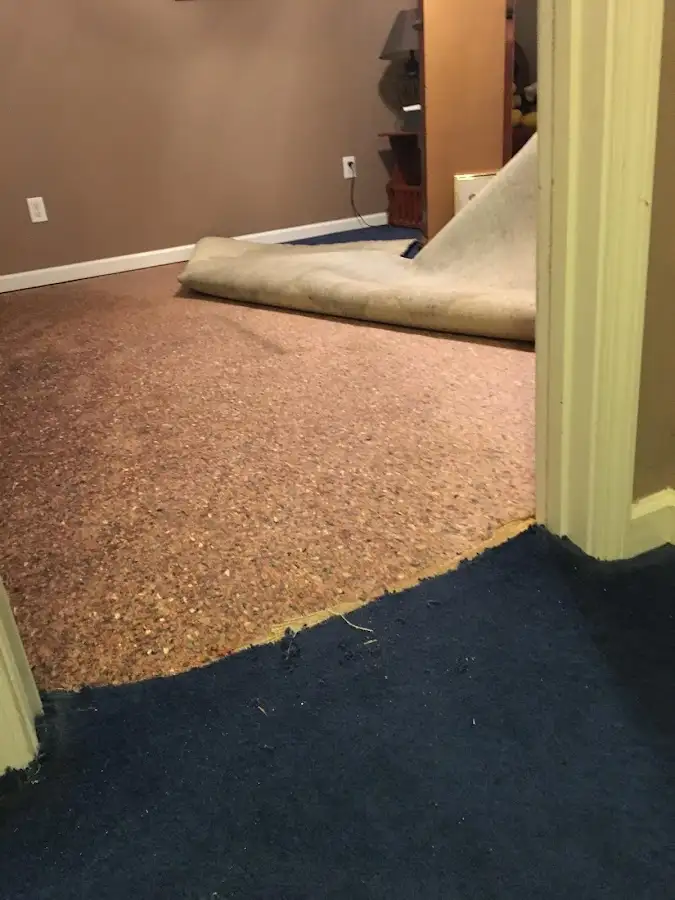 Carpet pad removal revealing water damage during Water Mitigation Services in Wauwatosa